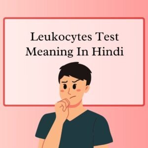 Leukocytes Test Meaning in Hindi