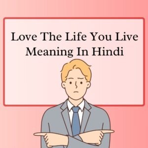 "Love the Life You Live" Meaning in Hindi