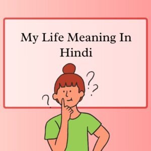 My Life Meaning in Hindi