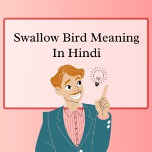 Swallow Bird Meaning In Hindi