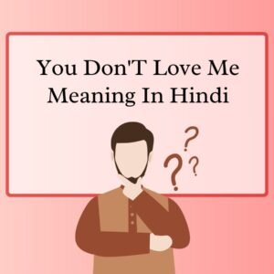 You Don'T Love Me Meaning In Hindi