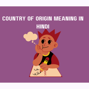 Country of Origin Meaning in Hindi