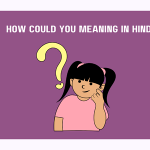 How Could You Meaning in Hindi