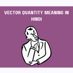 Vector Quantity Meaning in Hindi